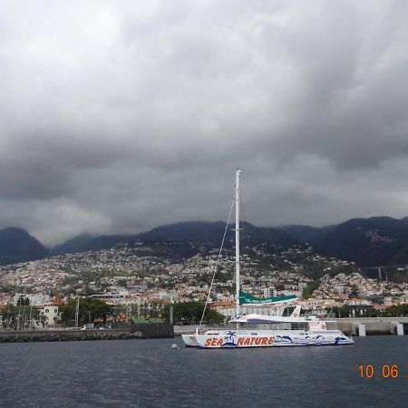 Stay In Madeira Funchal  Buitenkant foto